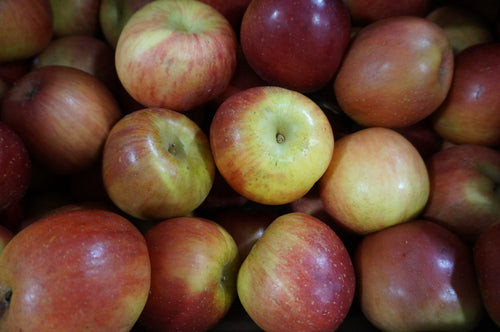 Pommier Fuji (Malus Domestica Fuji)