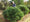 Image to render