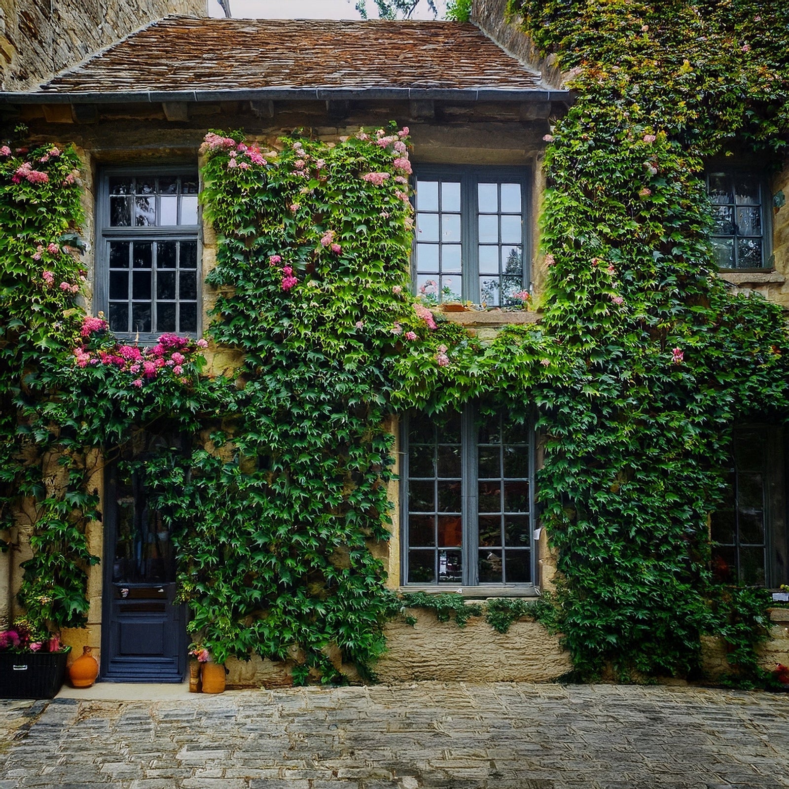 Façade de maison avec des plantes grimpantes