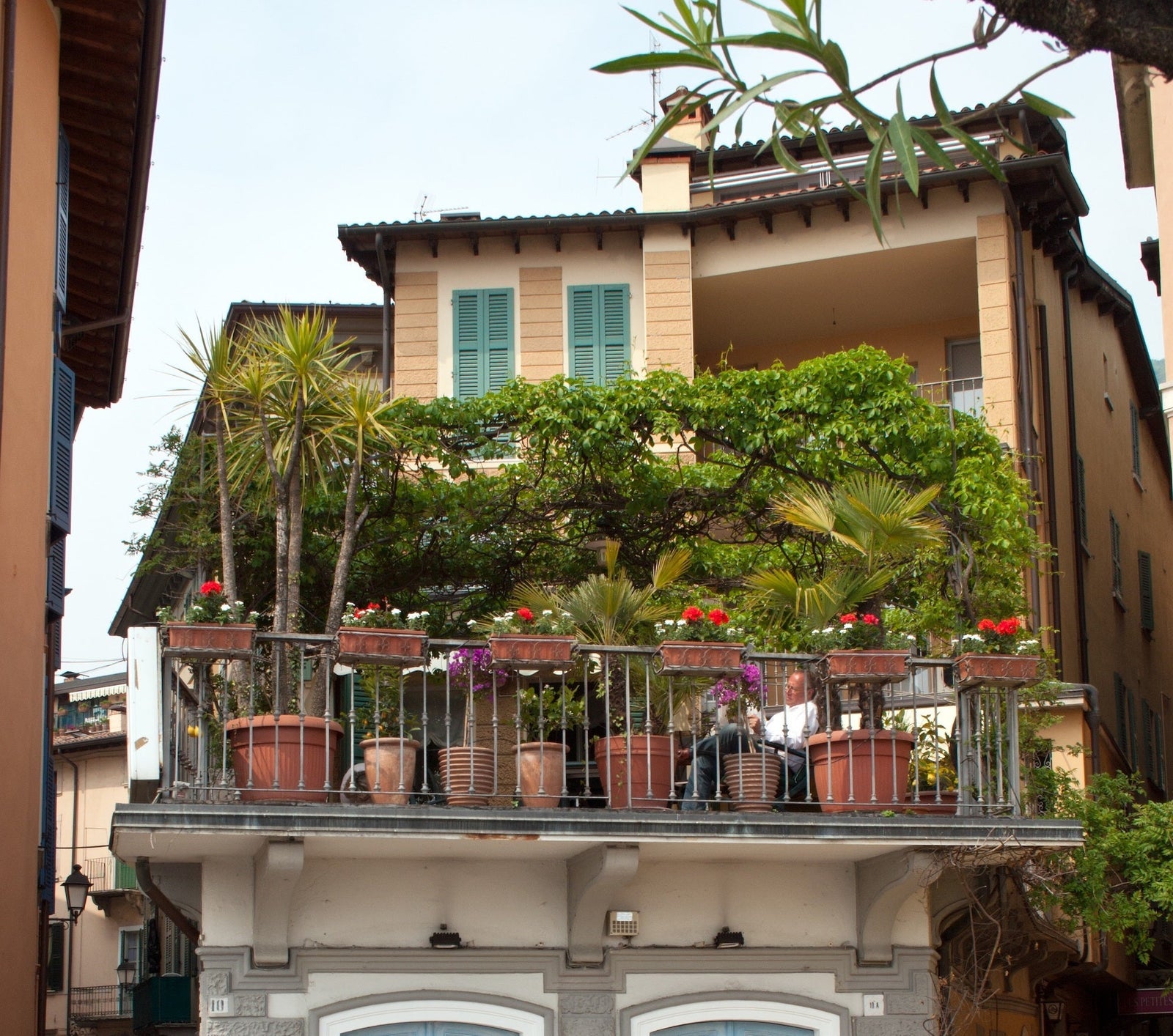 Quelles plantes choisir pour transformer un balcon en véritable jardin miniature ?