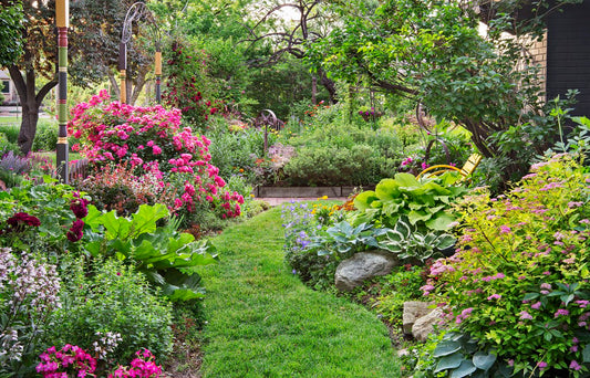 Comment avoir un jardin fleuri toute l’année ? Guide pratique