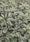 Image to render