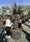 Image to render