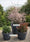 Image to render