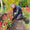 Installation à domicile (IDF uniquement)