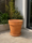 Image to render