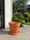 Image to render