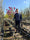 Image to render
