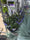 Image to render