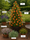 Image to render