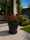Image to render