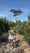 Image to render