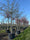 Image to render