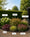 Image to render