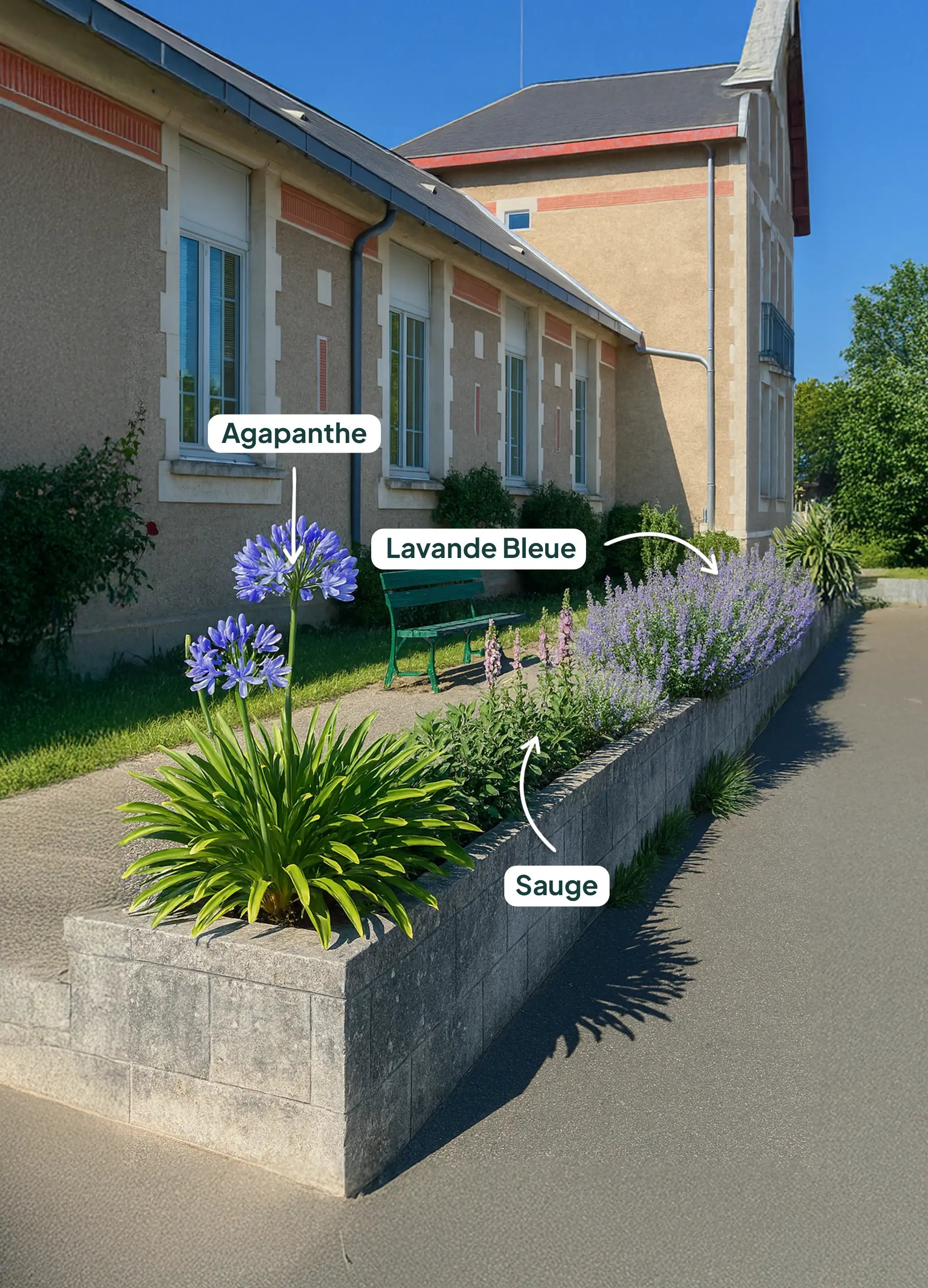 Image to render