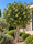 Image to render