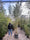 Image to render