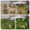 Modélisation Jardin / Balcon