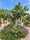 Image to render