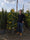 Image to render