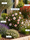 Image to render
