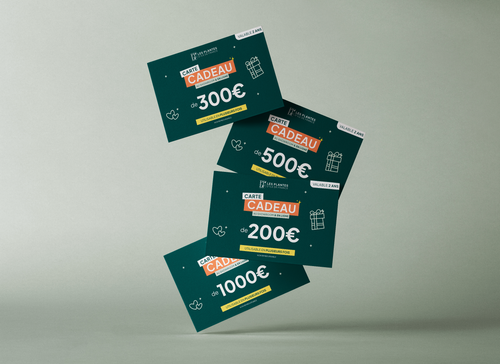 Carte Cadeau