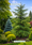 Image to render