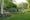 Image to render