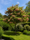 Image to render