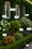 Image to render
