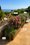 Image to render