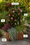 Image to render