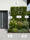 Image to render