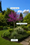 Image to render
