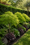 Image to render