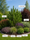 Image to render