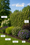 Image to render