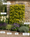 Image to render