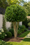 Image to render