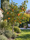 Image to render