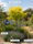 Image to render