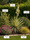 Image to render