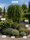 Image to render