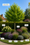 Image to render