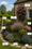 Image to render