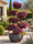Image to render