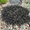 Image to render