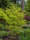 Image to render