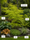Image to render