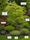 Image to render